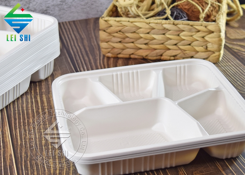 no lid five grid bento box