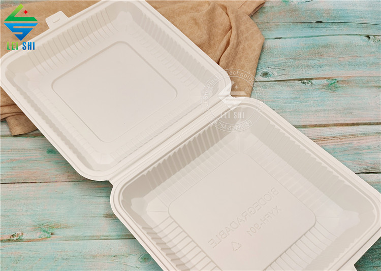 compostable takeout lunch box