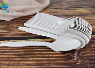 biodegradable spoon