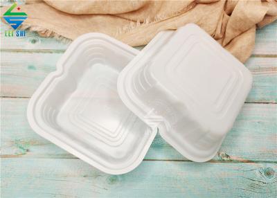 compostable food plate